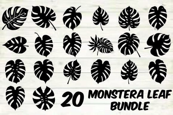 Download Monstera Leaf Bundle - Bundle Collection