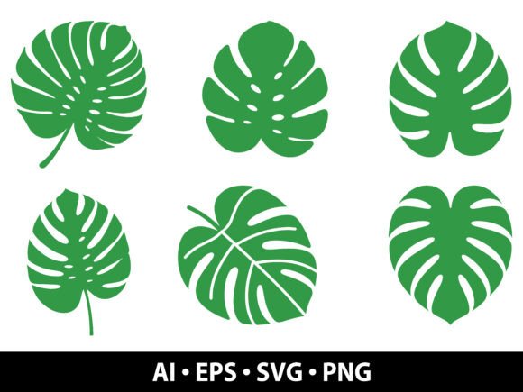 Download Monstera Leaf SVG Bundle - Bundle Collection